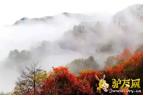 秋色.jpg