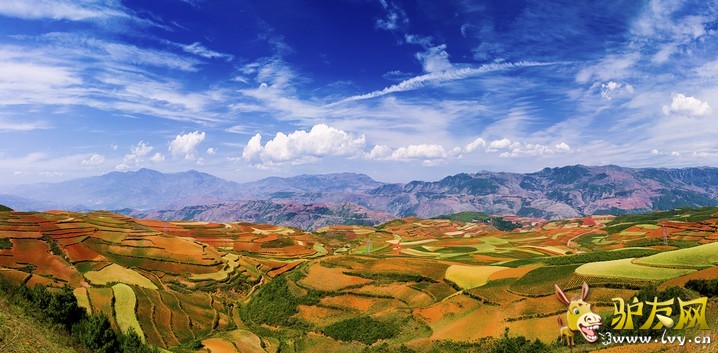 ���������ճ���Ӱ������200�ó��������������еĺ�����ɽ��