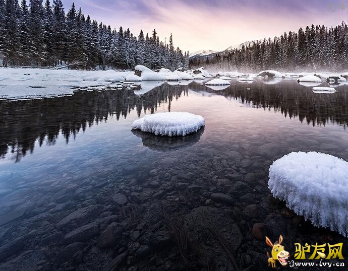 5����˹6 (1).jpg